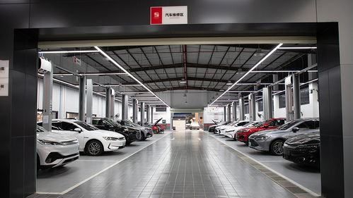 比亞迪自營(yíng)車險(xiǎn)首單落地 比傳統(tǒng)險(xiǎn)企省600元，這事兒靠譜嗎？